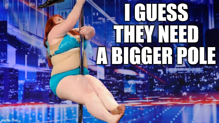 STRIPPER POLE | I GUESS THEY NEED A BIGGER POLE | image tagged in stripper pole | made w/ Imgflip meme maker