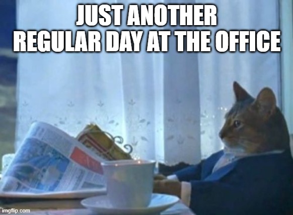 just another regular day | JUST ANOTHER REGULAR DAY AT THE OFFICE | image tagged in memes,i should buy a boat cat | made w/ Imgflip meme maker
