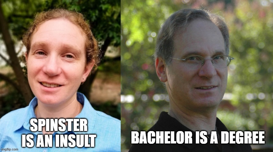 Single Life | BACHELOR IS A DEGREE; SPINSTER IS AN INSULT | image tagged in appearances matter,marriage,single life,gender equality,feminism | made w/ Imgflip meme maker