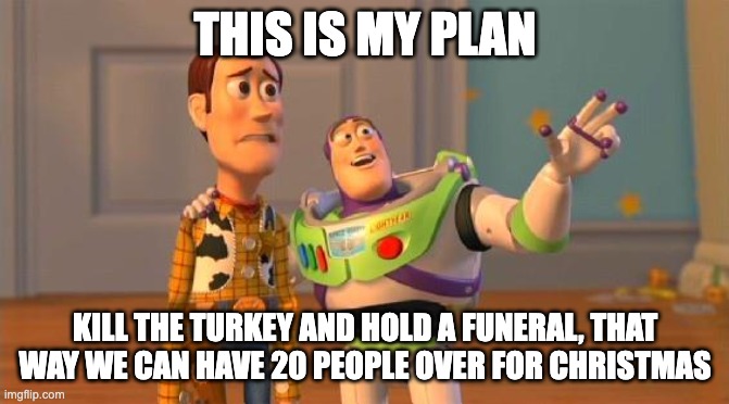 Victoria 2020 Christmas |  THIS IS MY PLAN; KILL THE TURKEY AND HOLD A FUNERAL, THAT WAY WE CAN HAVE 20 PEOPLE OVER FOR CHRISTMAS | image tagged in toystory everywhere | made w/ Imgflip meme maker