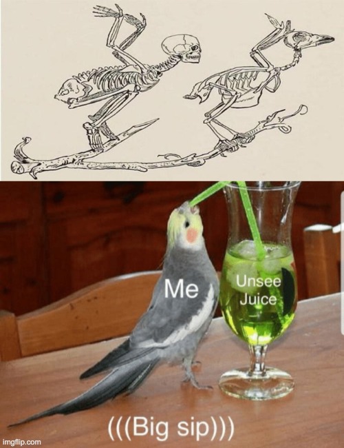 *confused screaming* | image tagged in unsee juice,funny,memes,skeleton | made w/ Imgflip meme maker