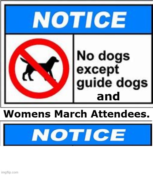 and Womens March Attendees. | image tagged in blank white template | made w/ Imgflip meme maker