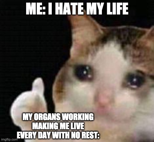 Approved crying cat | ME: I HATE MY LIFE; MY ORGANS WORKING MAKING ME LIVE EVERY DAY WITH NO REST: | image tagged in approved crying cat | made w/ Imgflip meme maker