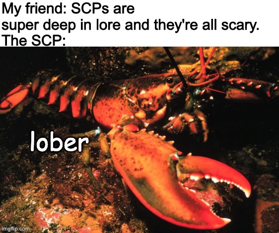 3485 TIME | My friend: SCPs are super deep in lore and they're all scary.
The SCP:; lober | image tagged in scp,lober | made w/ Imgflip meme maker