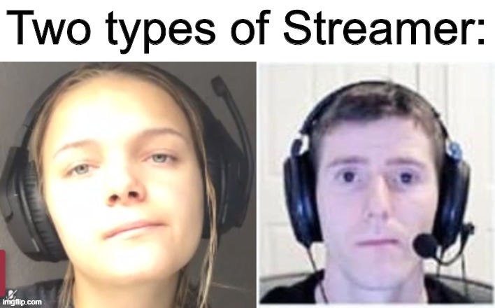 Two types of Streamer: | image tagged in meme stream,memes,funny,streams,wtf | made w/ Imgflip meme maker