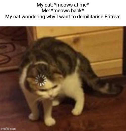 Cat |  My cat: *meows at me*
Me: *meows back*
My cat wondering why I want to demilitarise Eritrea: | image tagged in loading cat,cats,strange | made w/ Imgflip meme maker