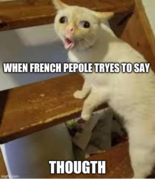 thought | WHEN FRENCH PEPOLE TRYES TO SAY; THOUGTH | image tagged in funny | made w/ Imgflip meme maker