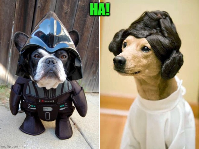 HA! | made w/ Imgflip meme maker