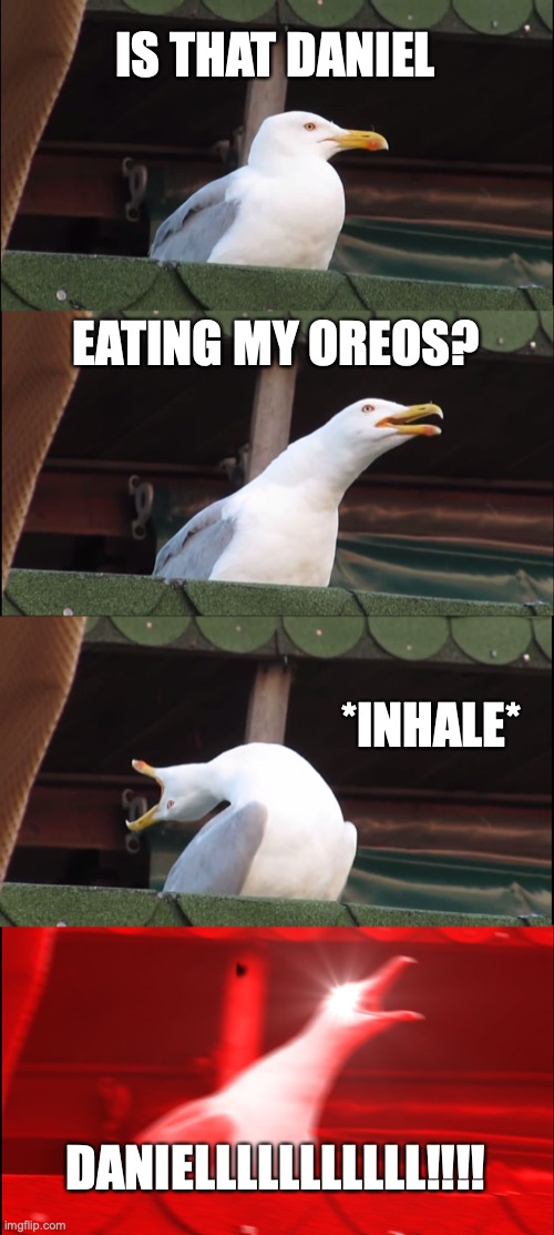 Me when my brother eats my Oreos | IS THAT DANIEL; EATING MY OREOS? *INHALE*; DANIELLLLLLLLLLL!!!! | image tagged in memes,inhaling seagull | made w/ Imgflip meme maker