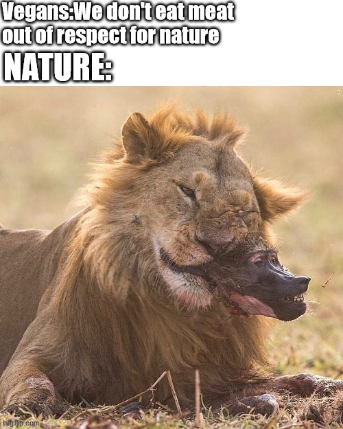 Vegans:We don't eat meat out of respect for nature; NATURE: | made w/ Imgflip meme maker