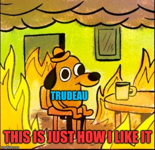 This is fine | TRUDEAU THIS IS JUST HOW I LIKE IT | image tagged in this is fine | made w/ Imgflip meme maker