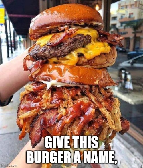big ass burger | GIVE THIS BURGER A NAME, | image tagged in much wow | made w/ Imgflip meme maker