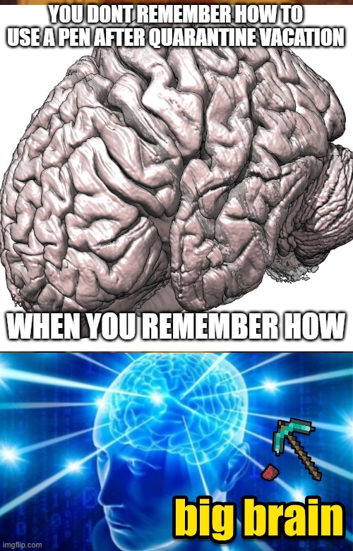 YOU DONT REMEMBER HOW TO USE A PEN AFTER QUARANTINE VACATION; WHEN YOU REMEMBER HOW | image tagged in memes,big brain | made w/ Imgflip meme maker