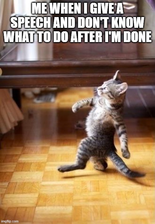 Cool Cat Stroll Meme | ME WHEN I GIVE A SPEECH AND DON'T KNOW WHAT TO DO AFTER I'M DONE | image tagged in memes,cool cat stroll | made w/ Imgflip meme maker