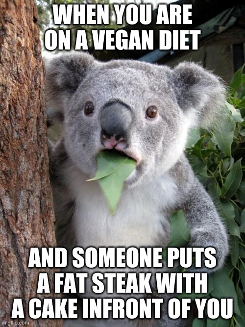 Maaan i want that | WHEN YOU ARE ON A VEGAN DIET; AND SOMEONE PUTS A FAT STEAK WITH A CAKE INFRONT OF YOU | image tagged in memes,surprised koala | made w/ Imgflip meme maker
