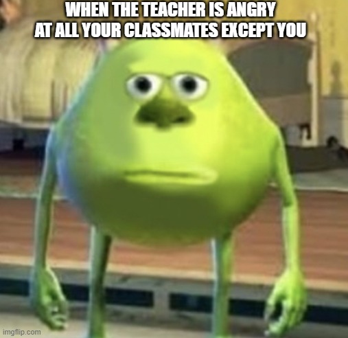 Mike Wazowski Face Swap | WHEN THE TEACHER IS ANGRY AT ALL YOUR CLASSMATES EXCEPT YOU | image tagged in mike wazowski face swap | made w/ Imgflip meme maker