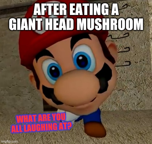 Giant Balloon Head | AFTER EATING A GIANT HEAD MUSHROOM; WHAT ARE YOU ALL LAUGHING AT? | image tagged in miniladd,vanossgaming,gmod | made w/ Imgflip meme maker