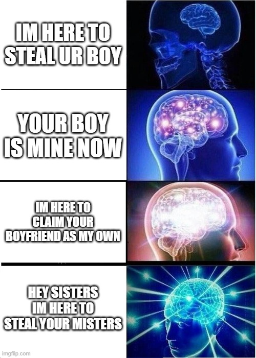 Flamingo  be like | IM HERE TO STEAL UR BOY; YOUR BOY IS MINE NOW; IM HERE TO CLAIM YOUR BOYFRIEND AS MY OWN; HEY SISTERS IM HERE TO STEAL YOUR MISTERS | image tagged in memes,expanding brain | made w/ Imgflip meme maker