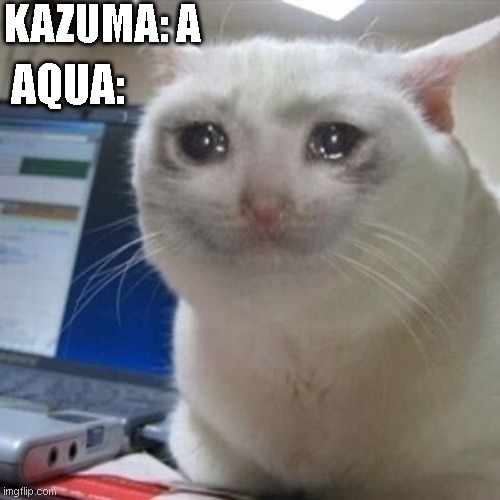 Crying cat | KAZUMA: A; AQUA: | image tagged in crying cat,anime,anime meme,anime memes,konosuba | made w/ Imgflip meme maker