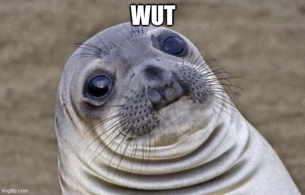 Awkward Moment Sealion Meme | WUT | image tagged in memes,awkward moment sealion | made w/ Imgflip meme maker