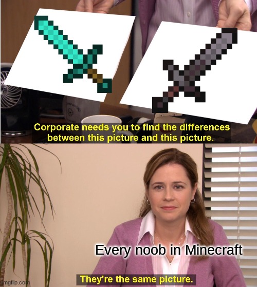 NOOOOOOOOOOOOOOOOOOB | Every noob in Minecraft | image tagged in memes,they're the same picture | made w/ Imgflip meme maker