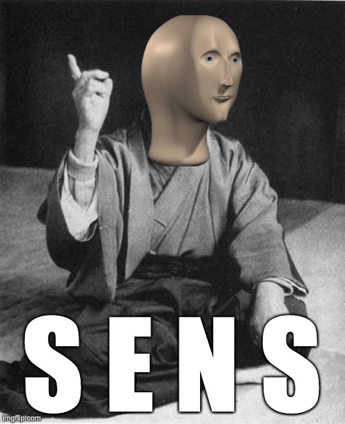 Wise Master | S E N S | image tagged in wise master | made w/ Imgflip meme maker