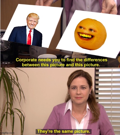 the donald trump memes continue | image tagged in memes,they're the same picture | made w/ Imgflip meme maker