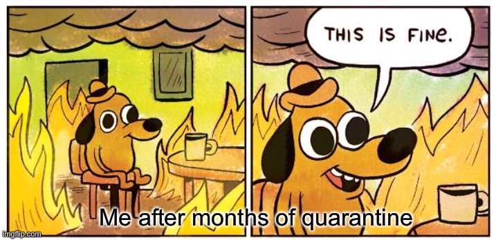 Im ok now | Me after months of quarantine | image tagged in memes,this is fine | made w/ Imgflip meme maker