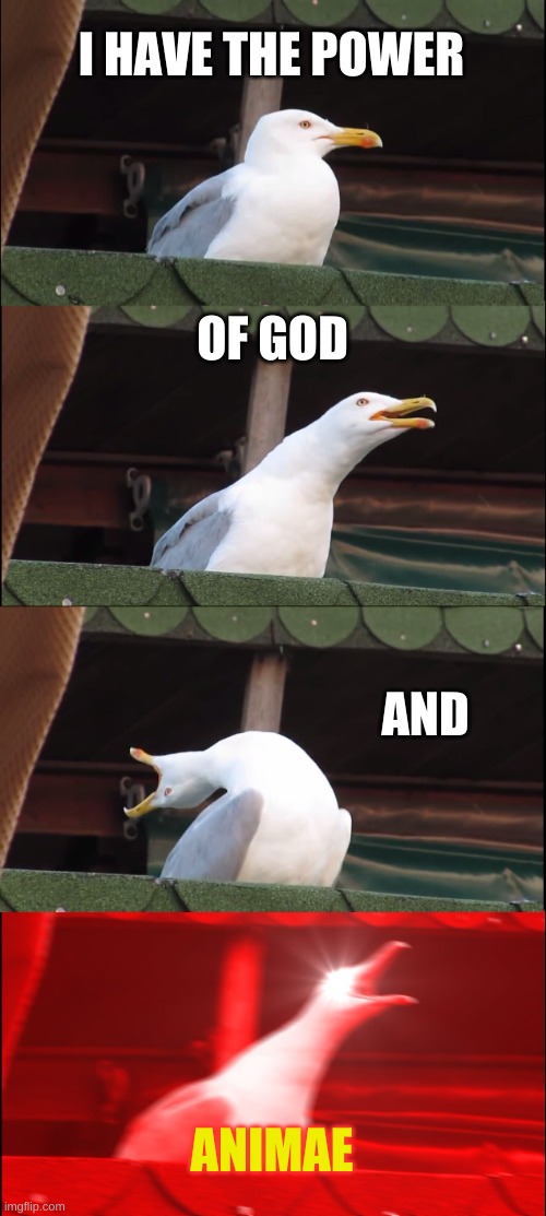 fun time | I HAVE THE POWER; OF GOD; AND; ANIMAE | image tagged in memes,inhaling seagull | made w/ Imgflip meme maker