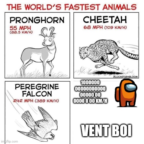 The world's fastest animals | 1000000 00000000000 00000 00 0000 0 00 KM/H; VENT BOI | image tagged in the world's fastest animals | made w/ Imgflip meme maker