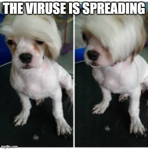 karen dog | THE VIRUSE IS SPREADING | image tagged in karen dog | made w/ Imgflip meme maker