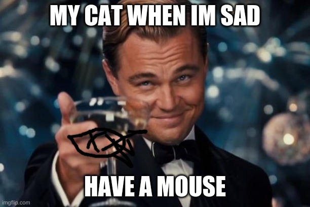 Leonardo Dicaprio Cheers | MY CAT WHEN IM SAD; HAVE A MOUSE | image tagged in memes,leonardo dicaprio cheers | made w/ Imgflip meme maker