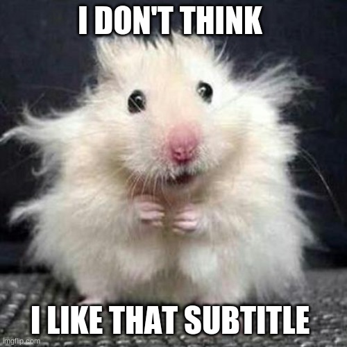 Stressed Mouse | I DON'T THINK I LIKE THAT SUBTITLE | image tagged in stressed mouse | made w/ Imgflip meme maker