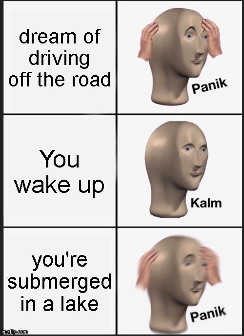 Panik Kalm Panik Meme | dream of driving off the road; You wake up; you're submerged in a lake | image tagged in memes,panik kalm panik | made w/ Imgflip meme maker