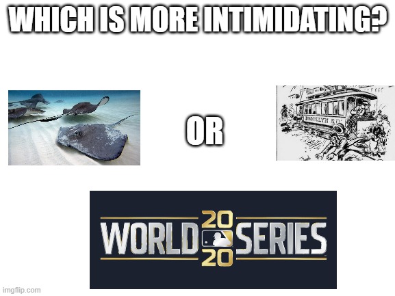 Trolley-Dodgers |  WHICH IS MORE INTIMIDATING? OR | image tagged in blank white template,mlb,world series,tampa bay rays,los angeles dodgers,baseball | made w/ Imgflip meme maker