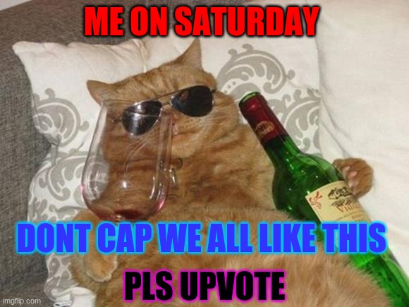 Funny Cat Birthday | ME ON SATURDAY; DONT CAP WE ALL LIKE THIS; PLS UPVOTE | image tagged in funny cat birthday | made w/ Imgflip meme maker