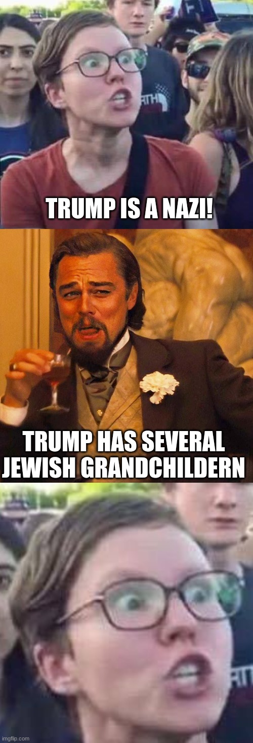 bruh moment | TRUMP IS A NAZI! TRUMP HAS SEVERAL JEWISH GRANDCHILDERN | image tagged in liberals,nazi,jewish guy,grandchildren,donald trump | made w/ Imgflip meme maker
