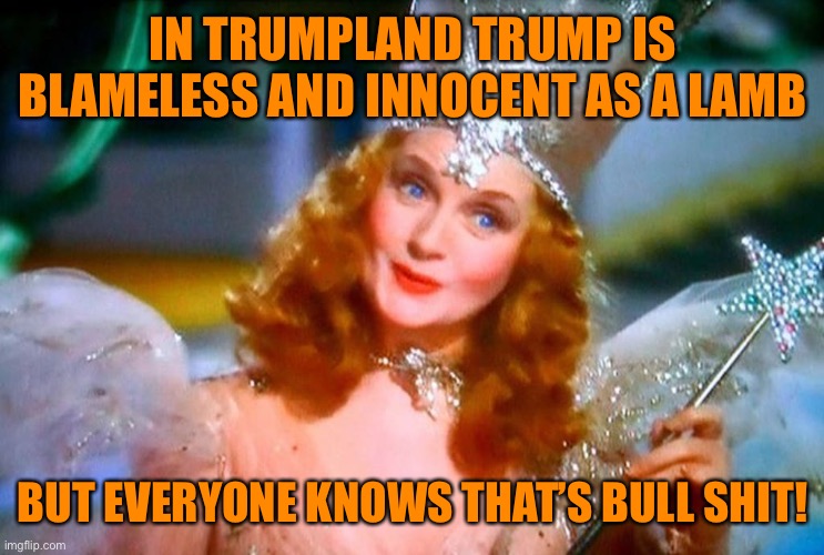 IN TRUMPLAND TRUMP IS BLAMELESS AND INNOCENT AS A LAMB BUT EVERYONE KNOWS THAT’S BULL SHIT! | made w/ Imgflip meme maker