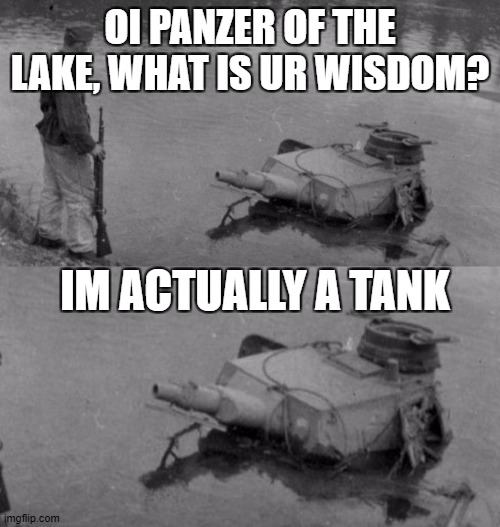 oi panze- i mean.... tank of the lake, what is ur wisdom? | OI PANZER OF THE LAKE, WHAT IS UR WISDOM? IM ACTUALLY A TANK | image tagged in panzer of the lake | made w/ Imgflip meme maker