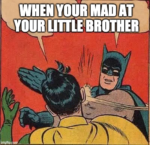 ya boy | WHEN YOUR MAD AT YOUR LITTLE BROTHER | image tagged in memes,batman slapping robin | made w/ Imgflip meme maker