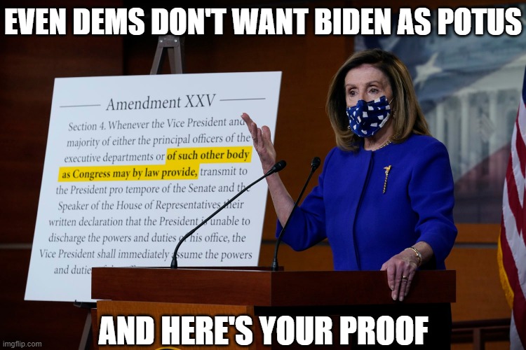 Biden is just a puppet to get control of the office | EVEN DEMS DON'T WANT BIDEN AS POTUS; AND HERE'S YOUR PROOF | image tagged in democrats,liberals,election 2020,pelosi,joe biden,trump | made w/ Imgflip meme maker