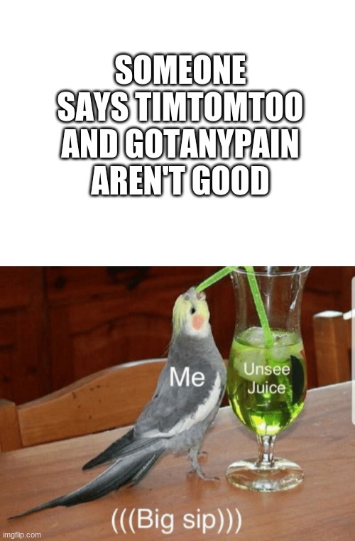 it is only true | SOMEONE SAYS TIMTOMTOO AND GOTANYPAIN AREN'T GOOD | image tagged in blank white template,unsee juice | made w/ Imgflip meme maker