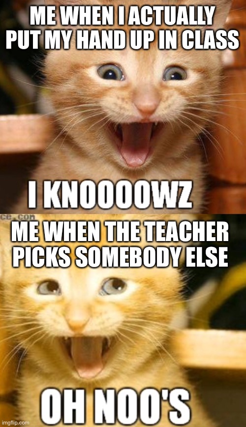 its true | ME WHEN I ACTUALLY PUT MY HAND UP IN CLASS; ME WHEN THE TEACHER PICKS SOMEBODY ELSE | image tagged in cats,scared cat | made w/ Imgflip meme maker
