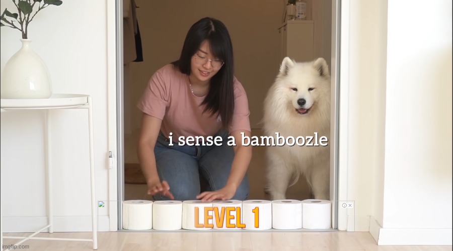 mayapolarbear bamboozle | image tagged in mayapolarbear bamboozle | made w/ Imgflip meme maker