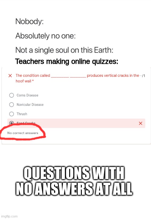 Nobody:, Absolutely no one: | Teachers making online quizzes:; QUESTIONS WITH NO ANSWERS AT ALL | image tagged in nobody absolutely no one | made w/ Imgflip meme maker