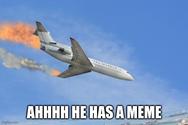 Crashing PLane | AHHHH HE HAS A MEME | image tagged in crashing plane | made w/ Imgflip meme maker