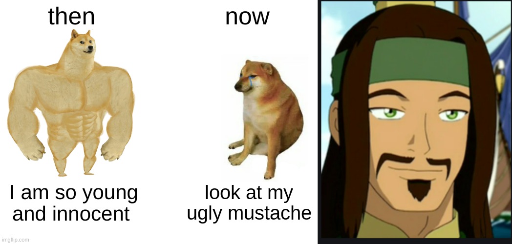 Who wrote on the storyboard in sharpie seriously, is this some kind of prank, even Sokka thought it was weird | then; now; I am so young and innocent; look at my ugly mustache | image tagged in memes,buff doge vs cheems,mustache,ugly | made w/ Imgflip meme maker
