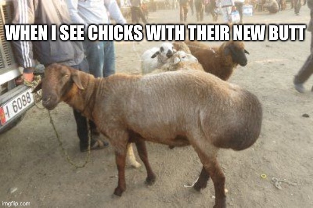 New butt | WHEN I SEE CHICKS WITH THEIR NEW BUTT | image tagged in big booty,butt,ass,sexy,sexy women | made w/ Imgflip meme maker