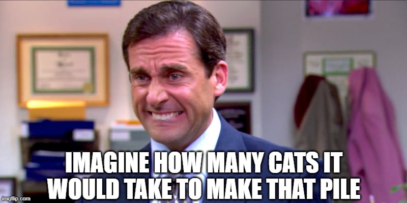 Micheal scott yikes | IMAGINE HOW MANY CATS IT WOULD TAKE TO MAKE THAT PILE | image tagged in micheal scott yikes | made w/ Imgflip meme maker