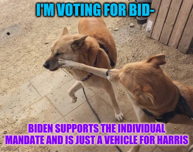 Bat-dog slapping Robin-dog | I'M VOTING FOR BID-; BIDEN SUPPORTS THE INDIVIDUAL MANDATE AND IS JUST A VEHICLE FOR HARRIS | image tagged in biden sucks | made w/ Imgflip meme maker